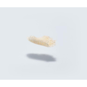 maxgraft® bonebuilder