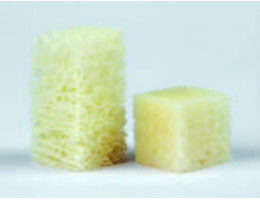 maxgraft® block (губчастий блок 10 х 10 х 10 мм)